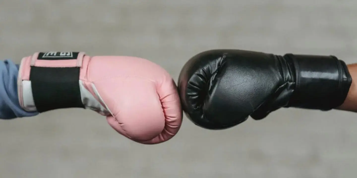 Le pôle insertion et inclusion du Noble Art Portésien